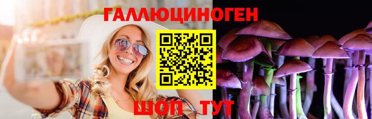 Псилоцибиновые грибы MAGIC MUSHROOMS  Вход с VPN  Гудермес 